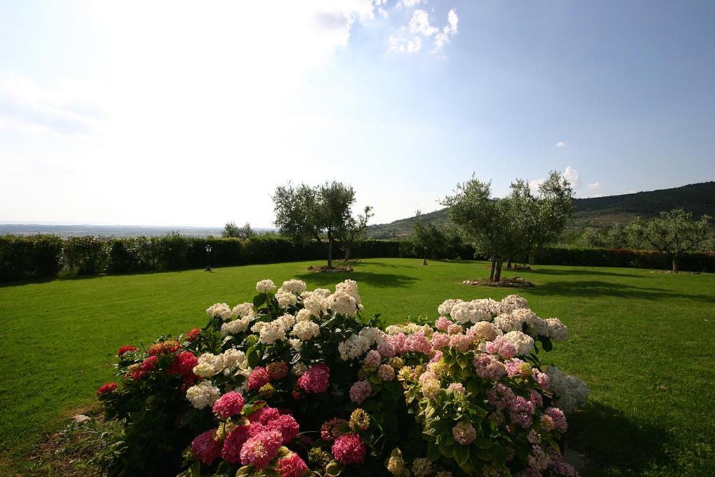Agriturismo Cortoreggio Cortona Exterior foto