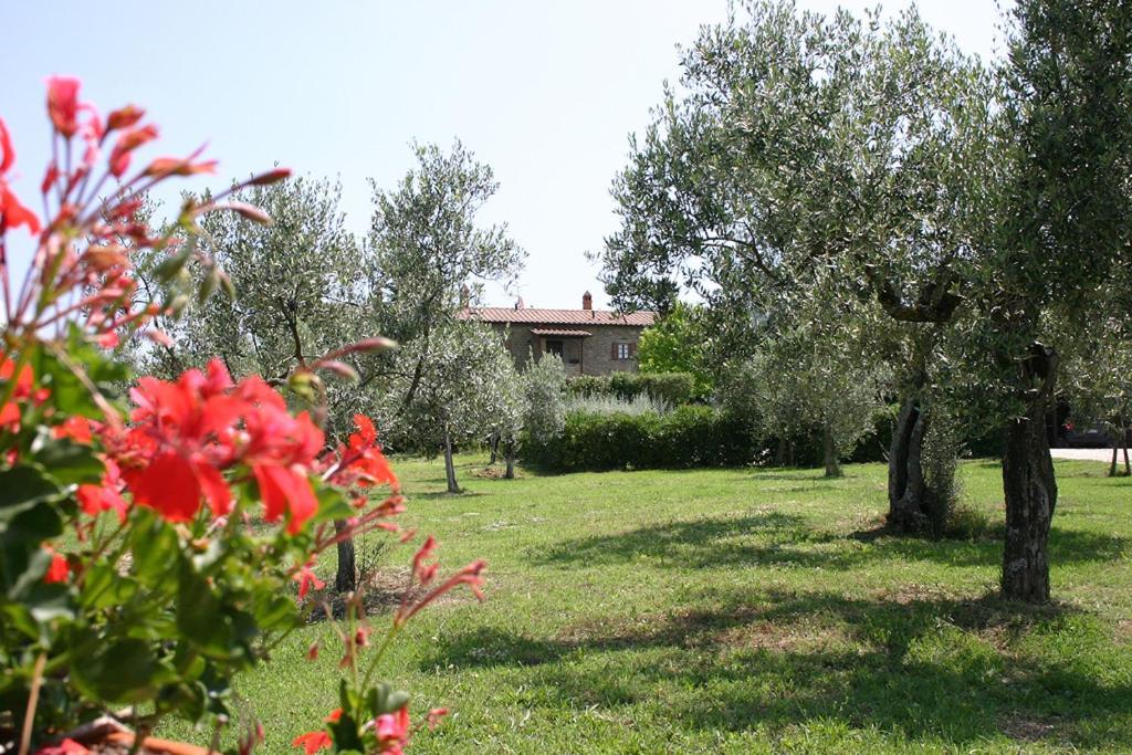 Agriturismo Cortoreggio Cortona Exterior foto