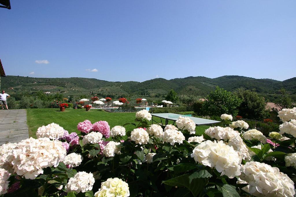 Agriturismo Cortoreggio Cortona Exterior foto